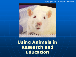 Use of Animals in Research and Education