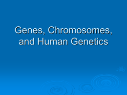 Genes, Chromosomes and Human Genetics