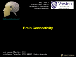 fMRI4Newbies_L11_Psy.. - Department of Psychology
