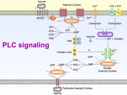 GPCR aktiv PLC