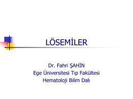 Lösemiler - Hematolog Doç. Dr. Fahri ŞAHİN