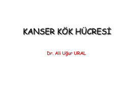 1372259057-2007 - Prof.Dr. Ali Uğur Ural