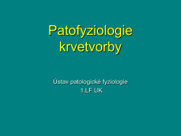 Patofyziologie krvetvorby