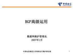 BGP技术简介