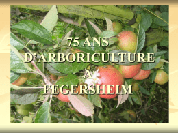 75 ANS D`ARBORICULTURE A FEGERSHEIM