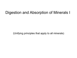 Lecture 06 Absorption 1