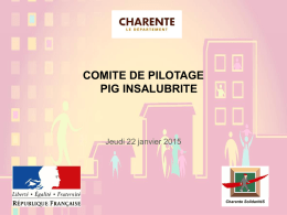 gip pig hi bilan - GIP Charente SolidaritéS