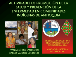 Promocion de la Salud en Pueblos Indigenas, Organizacion