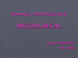 Davis, WL Histología y Embriología bucal. 1988. Nueva editorial