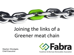 SLW &ndash; MeatUp 2011 Presentation