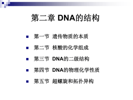 第二章 DNA的结构