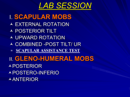 Slides scap mobs and GH mobs - Summit Professional Education