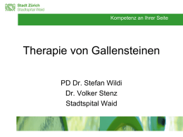 Therapie von Gallensteinen: PD Dr. Stefan Wildi, Chefarzt