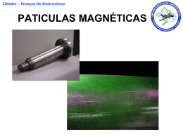PPP particulas magneticas 2013