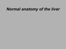 Normal Anatomy of the Liver and Pancreas