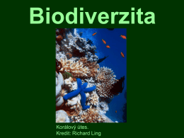 Prezentace Biodiverzita