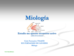 7. Miología - Departamento de Ciclos Formativos