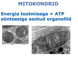 Mitokondrite pildid