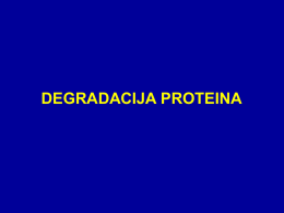degradacija proteina