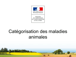 MAAF - Catégorisation des maladies animales