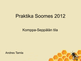 Praktika Soomes 2012