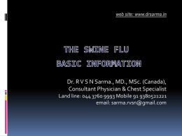 Swine Flu (Basics)