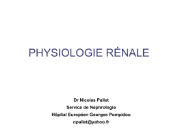 Physiologie-Toxicologie Rein 3