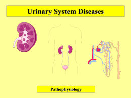 Urinary System Diseases