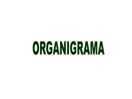 organigrama - EveryOneWeb