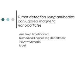 Arik Levy - Tumor Detection Using Antibodies Conjugated Magnetic