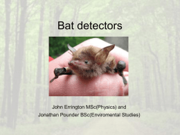 Bat detectors