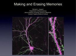 Powerpoint - Johns Hopkins Medicine