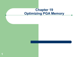 Optimizing PGA Memory