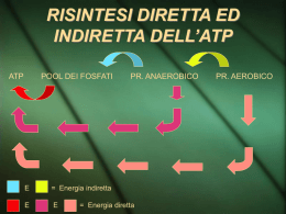 RISINTESI DIRETTA ED INDIRETTA DELL`ATP