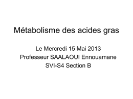 Metabolisme des acides gras15Mai2013