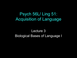 ppt