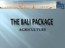THE BALI PACKAGE