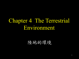 Chapter 5 The Terrestrial Environment