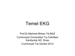 1332337973_ - Prof.Dr. Mehmet Birhan Yılmaz