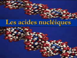 Acides nucléiques