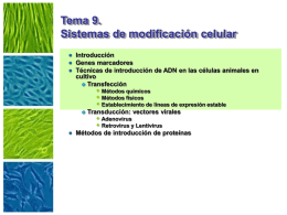 Tema 9- Sistemas de modificación celular