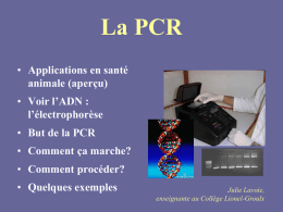 La PCR - Collège Lionel