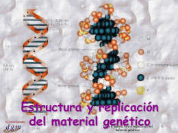 Tema 6: Estructura y replicación del material genético