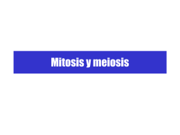 xxii. mitosis y meiosis