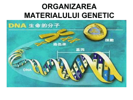 ORGANIZAREA ADN ÎN CELULĂ