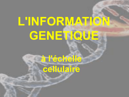 Support moléculaire de l`information génétique