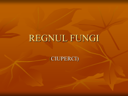 REGNUL FUNGI click - CNILC