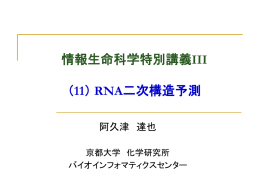 RNA二次構造予測