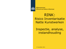 Case RINK (RAMS analyse)