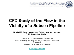 CFD Study of the Flow in the Vicinity of a Subsea